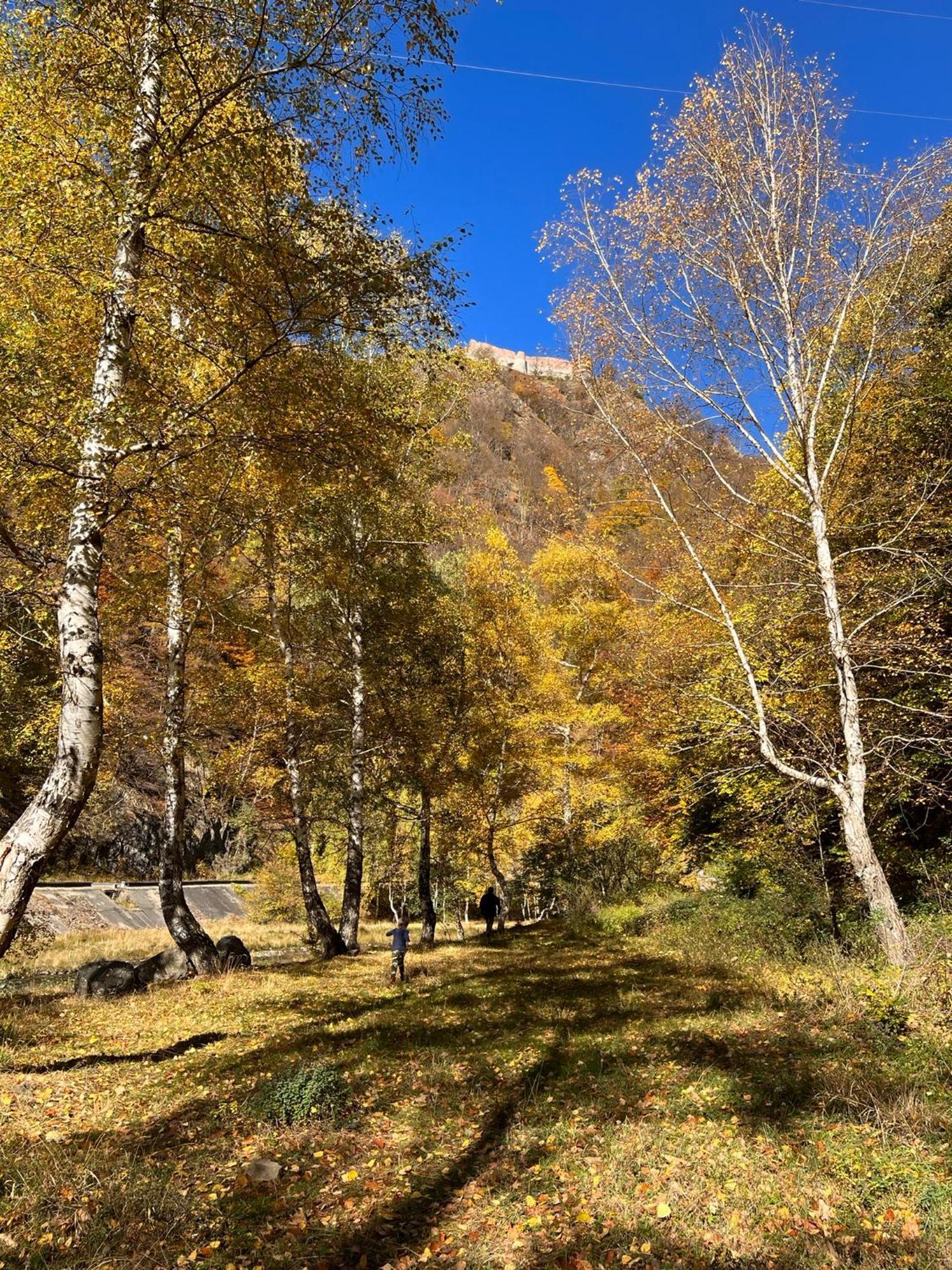 Отель Poiana Mucenicului Арефу Экстерьер фото